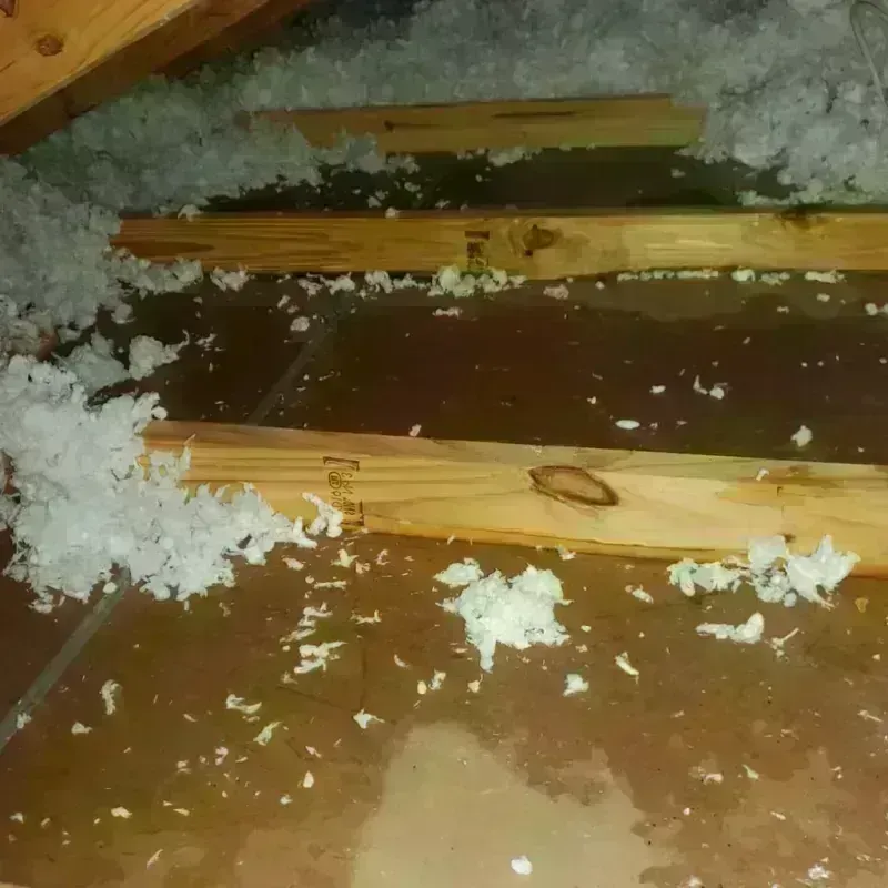 Attic Water Damage in Dickens, TX