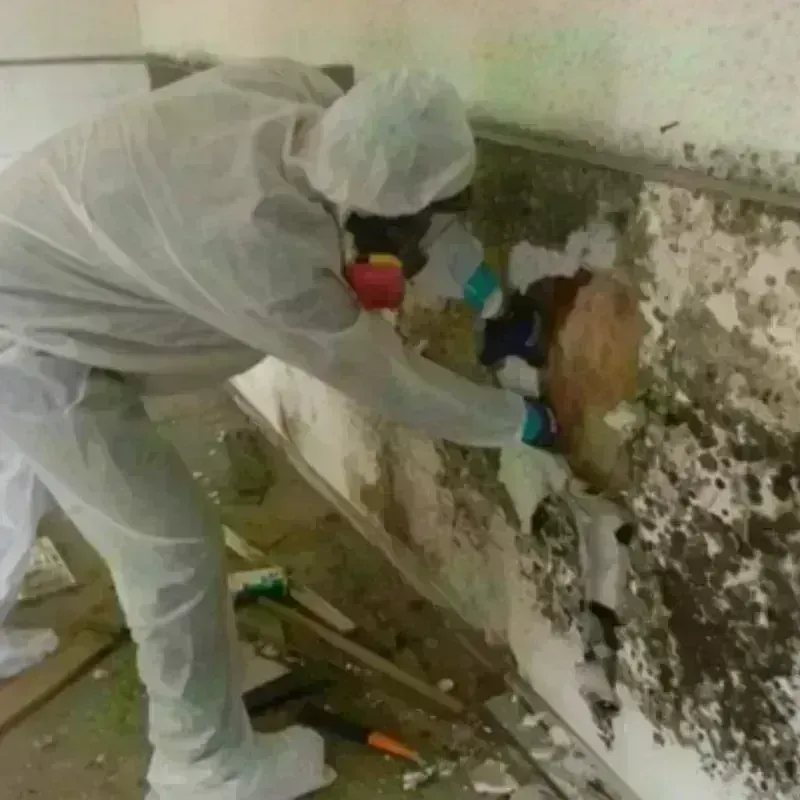 Best Mold Remediation and Removal Service in Dickens, TX