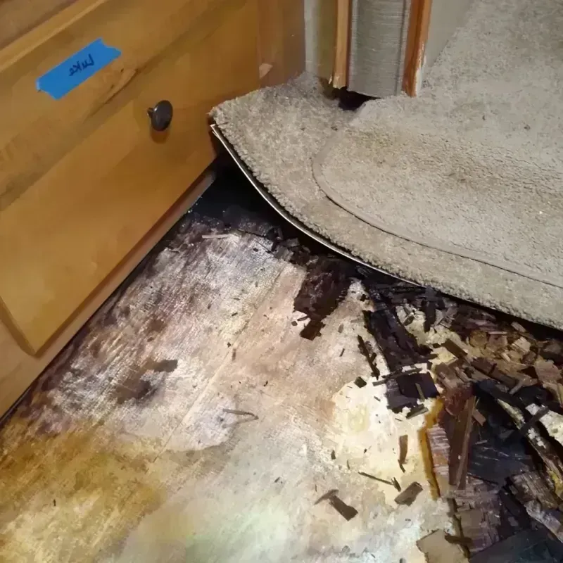 Best Wood Floor Water Damage Service in Dickens, TX